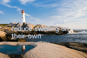 TWill dog allergies reduce swelling on their own?