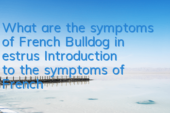 What are the symptoms of French Bulldog in estrus? Introduction to the symptoms of French Bulldog in estrus