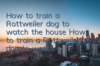 How to train a Rottweiler dog to watch the house? How to train a Rottweiler dog to watch the house?