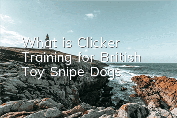 What is Clicker Training for British Toy Snipe Dogs?