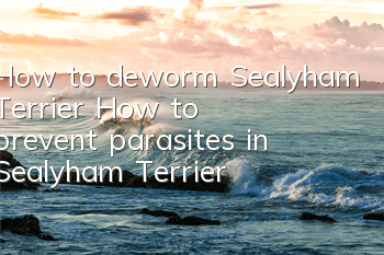 How to deworm Sealyham Terrier? How to prevent parasites in Sealyham Terrier?