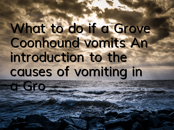 What to do if a Grove Coonhound vomits? An introduction to the causes of vomiting in a Grove Coonhound.