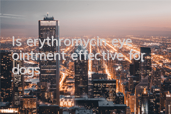 TIs erythromycin eye ointment effective for dogs?