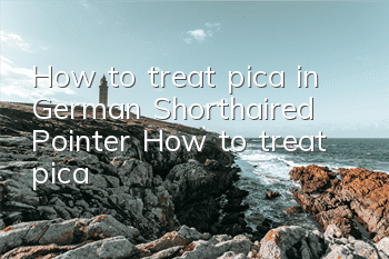 How to treat pica in German Shorthaired Pointer? How to treat pica?