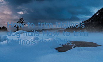 How to trim Malinois dog nails How to trim Malinois dog nails