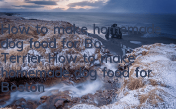 How to make homemade dog food for Boston Terrier? How to make homemade dog food for Boston Terrier?