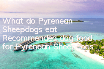 What do Pyrenean Sheepdogs eat? Recommended dog food for Pyrenean Sheepdogs