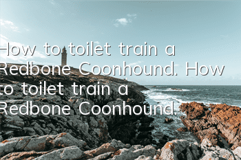 How to toilet train a Redbone Coonhound. How to toilet train a Redbone Coonhound.