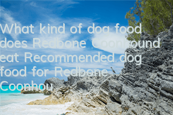 What kind of dog food does Redbone Coonhound eat? Recommended dog food for Redbone Coonhound