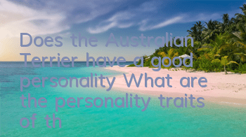 Does the Australian Terrier have a good personality? What are the personality traits of the Australian Terrier?