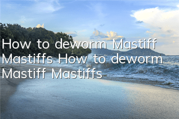 How to deworm Mastiff Mastiffs How to deworm Mastiff Mastiffs
