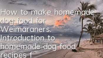 How to make homemade dog food for Weimaraners. Introduction to homemade dog food recipes for Weimaraners.