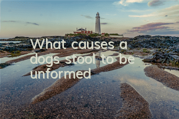 TWhat causes a dog's stool to be unformed?