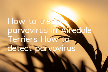 How to treat parvovirus in Airedale Terriers? How to detect parvovirus?