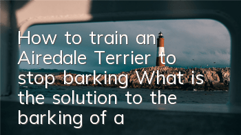 How to train an Airedale Terrier to stop barking? What is the solution to the barking of an Airedale Terrier?