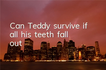 Can Teddy survive if all his teeth fall out?