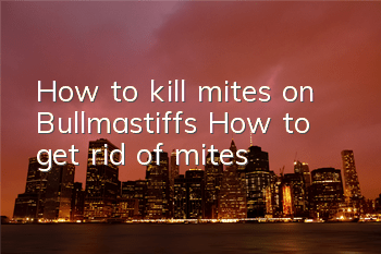 How to kill mites on Bullmastiffs How to get rid of mites
