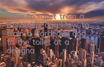 How to toilet train a Bordeaux dog? How to train a Bordeaux dog to the toilet at a designated location?
