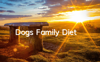 TDog's Family Diet