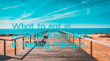 What to eat in Aifenpin? Key points in feeding Aifenpin