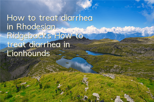 How to treat diarrhea in Rhodesian Ridgebacks How to treat diarrhea in Lionhounds