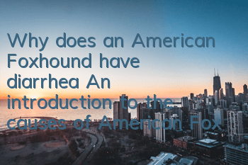 Why does an American Foxhound have diarrhea? An introduction to the causes of American Foxhound diarrhea