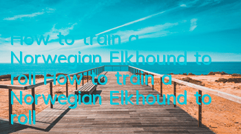 How to train a Norwegian Elkhound to roll? How to train a Norwegian Elkhound to roll?