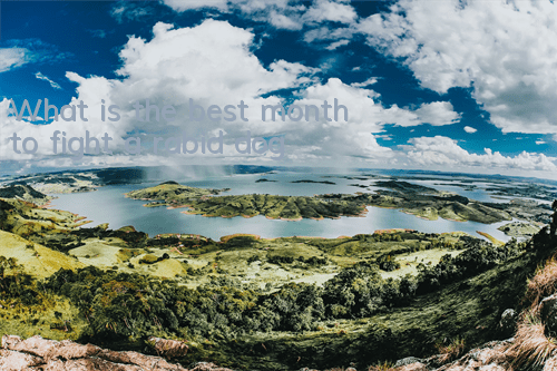 TWhat is the best month to fight a rabid dog?