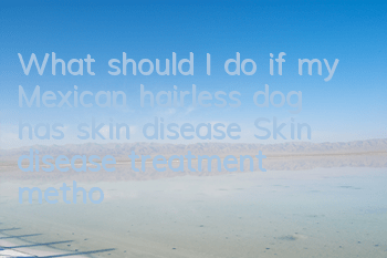 What should I do if my Mexican hairless dog has skin disease? Skin disease treatment methods