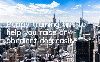 TPuppy training tips to help you raise an obedient dog easily!