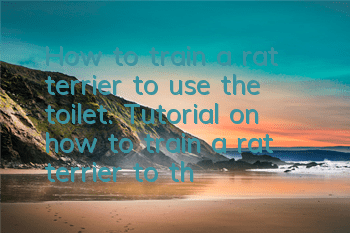 How to train a rat terrier to use the toilet. Tutorial on how to train a rat terrier to the toilet at a designated location.