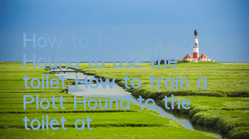 How to train a Plott Hound to use the toilet? How to train a Plott Hound to the toilet at a fixed location?