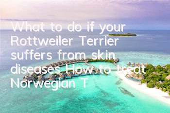 What to do if your Rottweiler Terrier suffers from skin diseases? How to treat Norwegian Terrier skin diseases?
