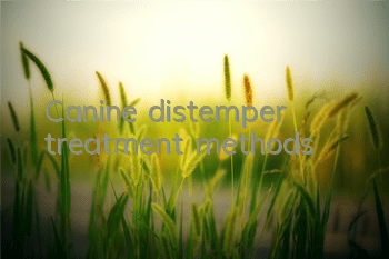 TCanine distemper treatment methods