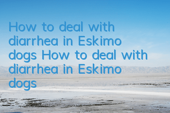 How to deal with diarrhea in Eskimo dogs How to deal with diarrhea in Eskimo dogs