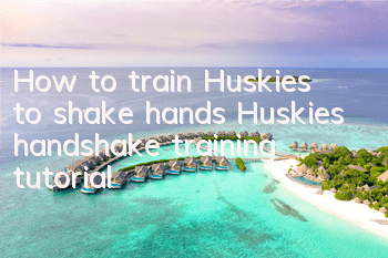 How to train Huskies to shake hands Huskies handshake training tutorial