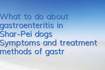 What to do about gastroenteritis in Shar-Pei dogs? Symptoms and treatment methods of gastroenteritis in Chinese Shar-Pei dogs