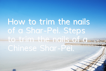 How to trim the nails of a Shar-Pei. Steps to trim the nails of a Chinese Shar-Pei.