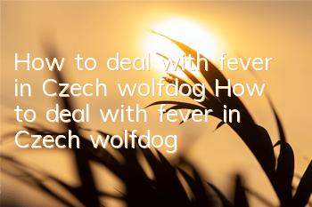 How to deal with fever in Czech wolfdog How to deal with fever in Czech wolfdog