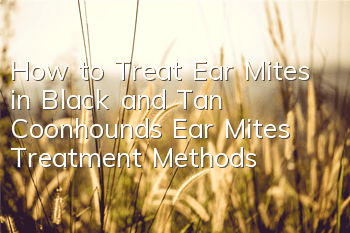 How to Treat Ear Mites in Black and Tan Coonhounds Ear Mites Treatment Methods