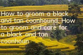 How to groom a black and tan coonhound. How to groom and care for a black and tan coonhound.