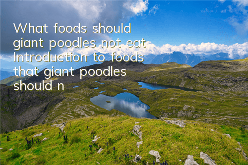 What foods should giant poodles not eat? Introduction to foods that giant poodles should not eat.