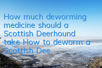 How much deworming medicine should a Scottish Deerhound take? How to deworm a Scottish Deerhound?