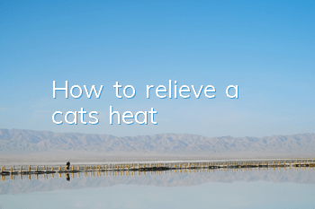 THow to relieve a cat’s heat?