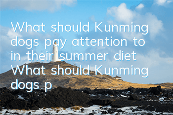 What should Kunming dogs pay attention to in their summer diet? What should Kunming dogs pay attention to in their summer diet?