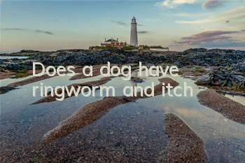 Does a dog have ringworm and itch?