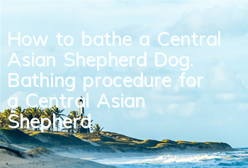 How to bathe a Central Asian Shepherd Dog. Bathing procedure for a Central Asian Shepherd Dog.