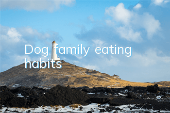 TDog family eating habits