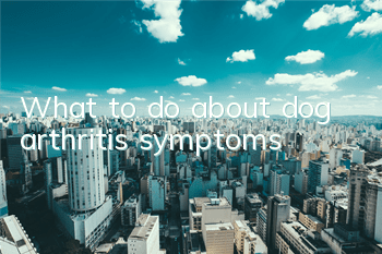 TWhat to do about dog arthritis symptoms