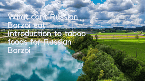 What can’t Russian Borzoi eat? Introduction to taboo foods for Russian Borzoi